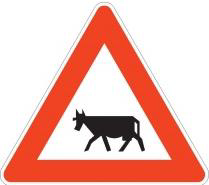 The picture shows a traffic sign: